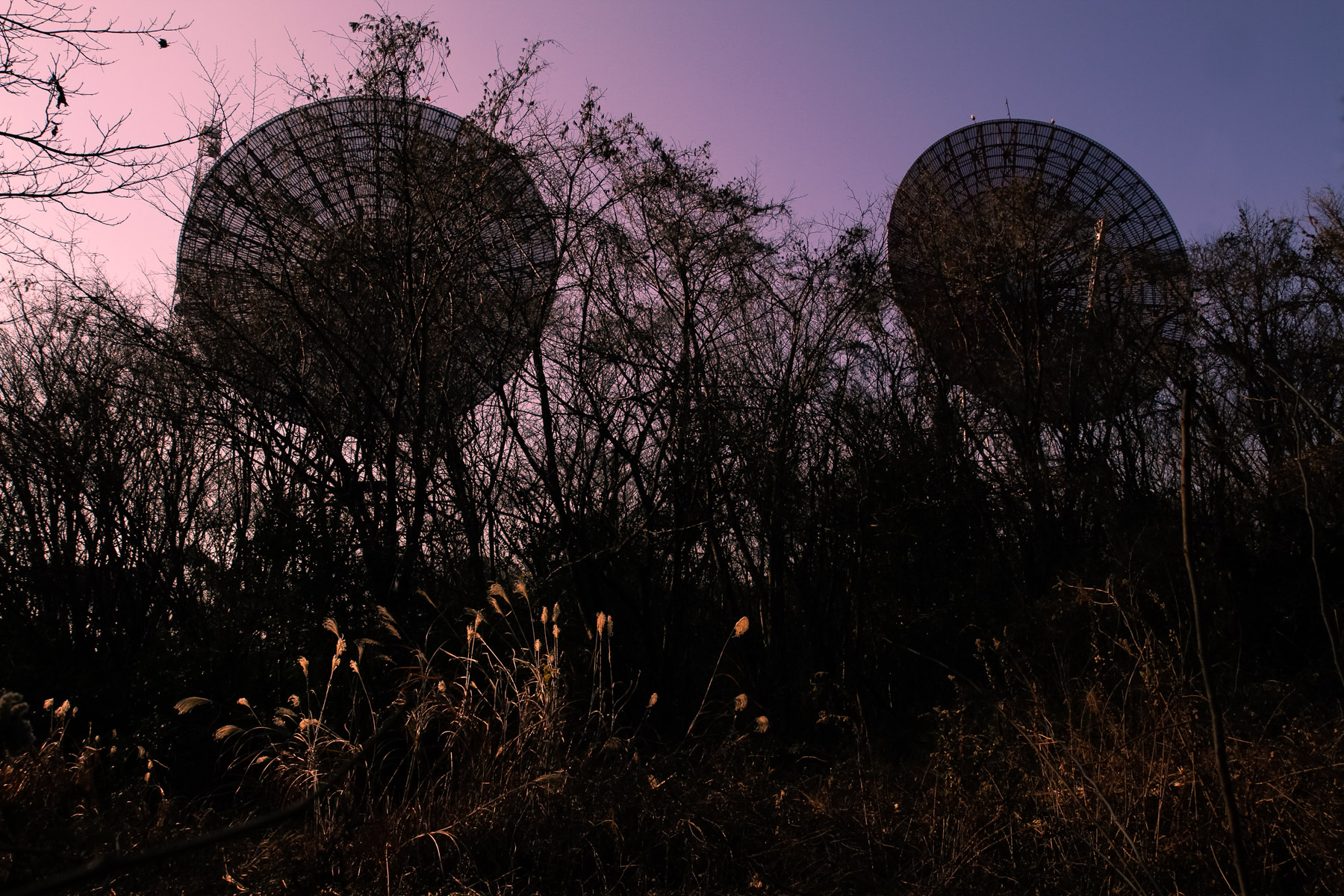 Parabolic Antennas at Fuchu