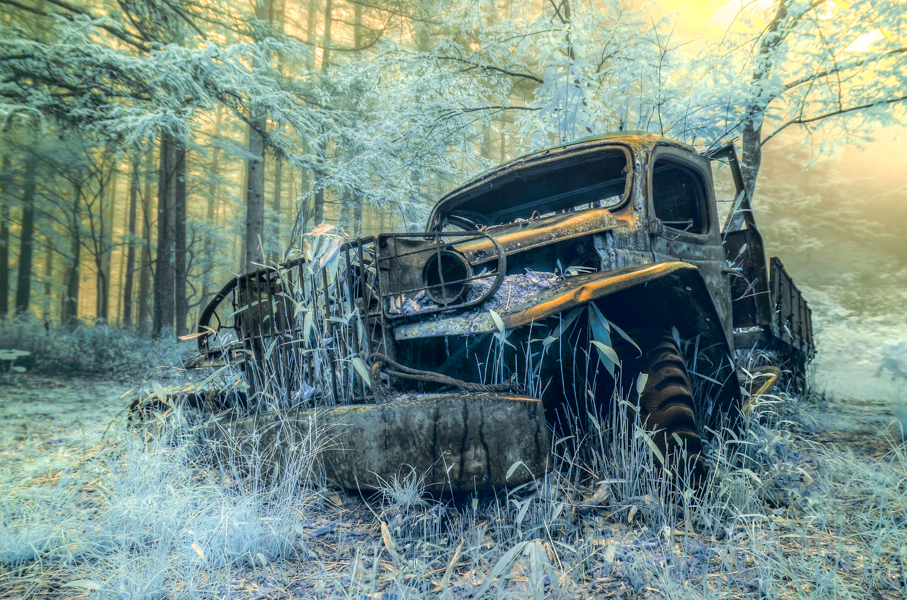 Close-up Haikyo Ford Car IR