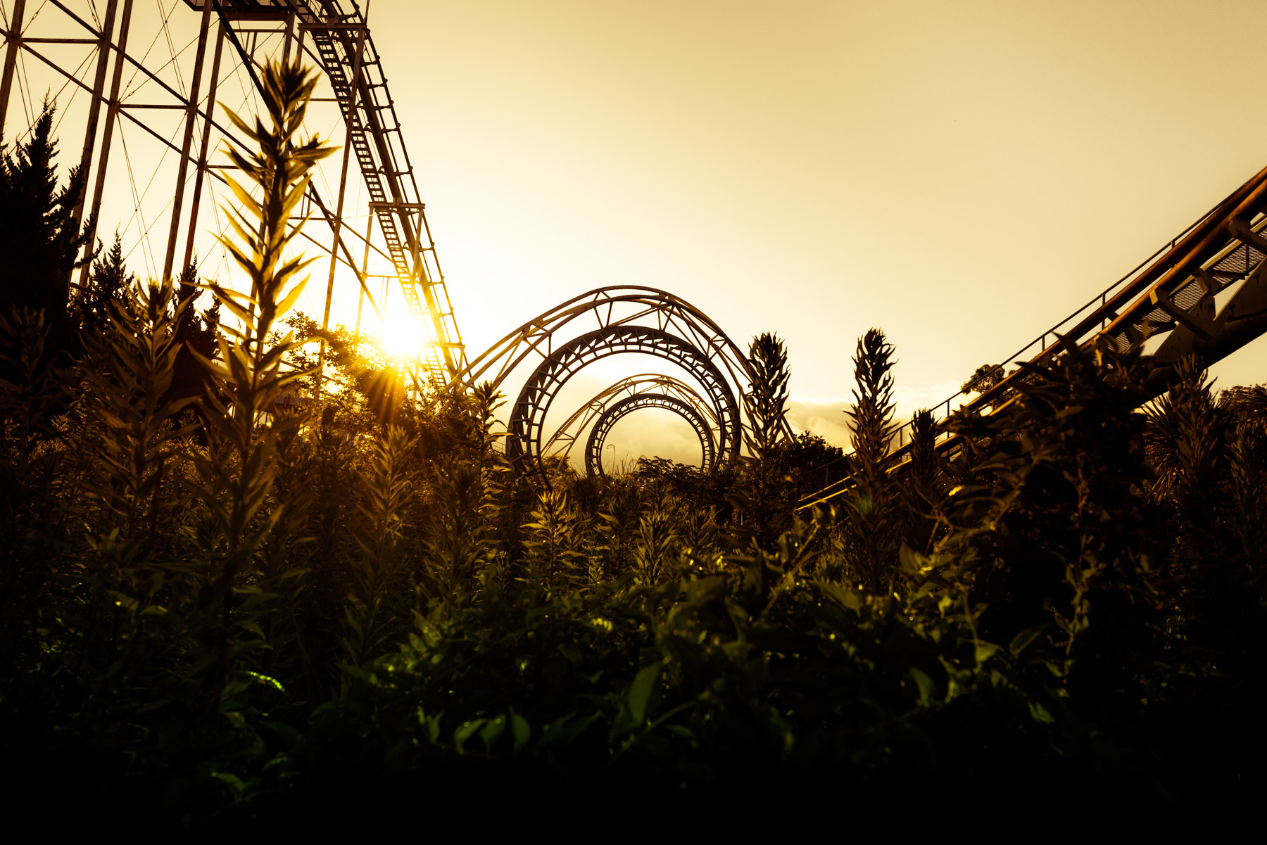 Dreamland Looping Sepia